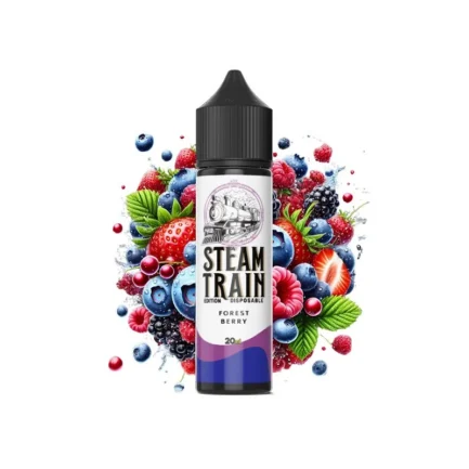 Steam Train - Disposable Edition - Forrest Berry 20ml/60ml