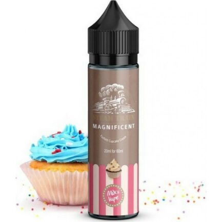 Steam Train – Magnificent Flavourshot 20/60ml